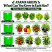Anandi Greens terrace combo — suitable crops by grow bag size, English guide