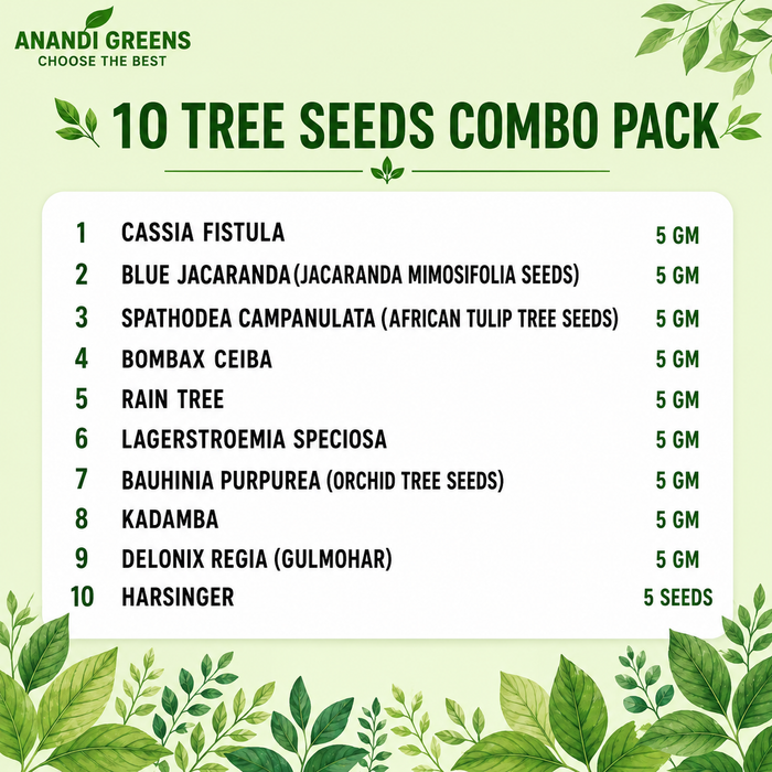 Flowering & shading Tree seeds combo list