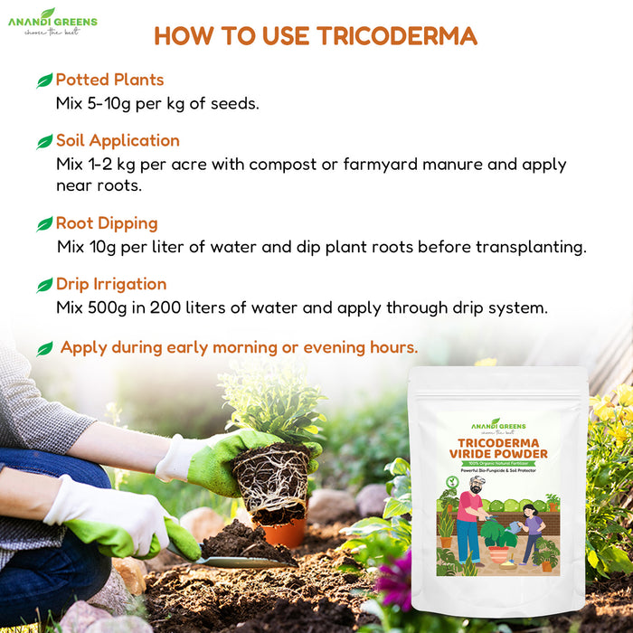 Trichoderma viride applied to soil with organic fertilizer and neem cake fertilizer for disease prevention