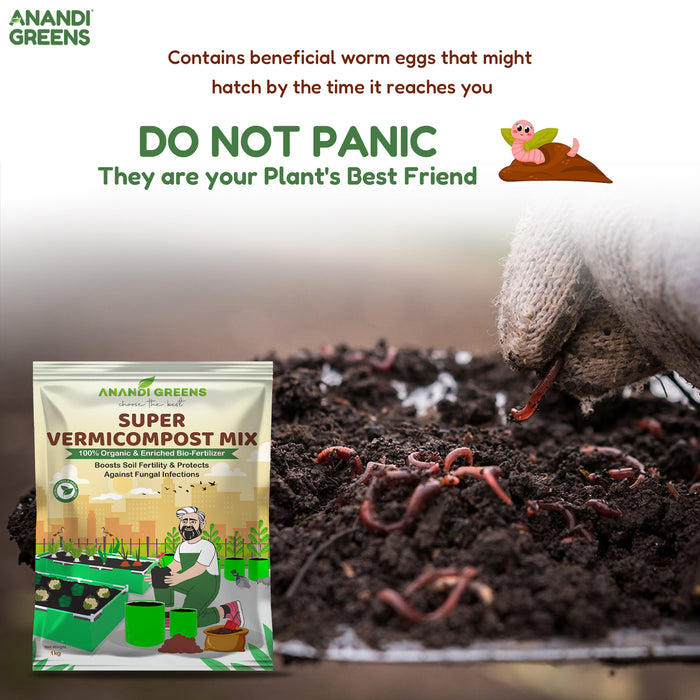 Vermicompost organic fertiliser benefits infographic – nutrients microbes humic acids – Anandi Greens